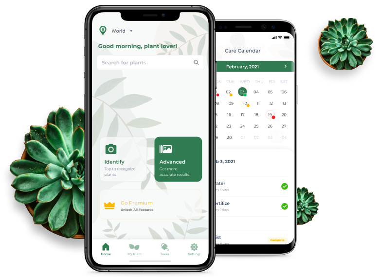 LeafSnap Plant Identifier App, Mobile for Plant Identification