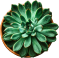 plant-qa
